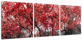 Obraz - Czerwone drzewa, Central Park, New York (z zegarem) (90x30 cm)