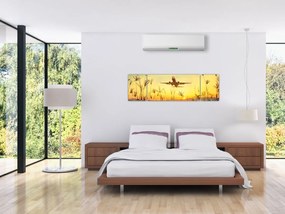 Obraz startującego samolotu (170x50 cm)
