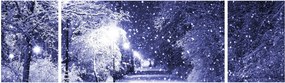 Obraz - Magiczna zimowa noc (170x50 cm)
