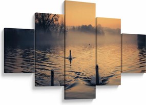 Obraz łabędzi na wodzie we mgle (125x70 cm)