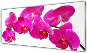 Panel Kuchenny Nowoczesna Grafika Kwiatowa