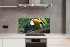 Panel szklany do Kuchni Tukan: Symbol Tropików