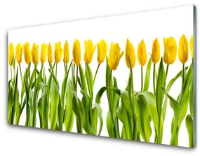 Obraz Szklany Tulipany Kwiaty Natura