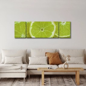 Obraz - pokrojone cytryny (170x50 cm)