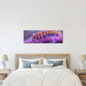 Obraz - Caterpillar (z zegarem) (90x30 cm)