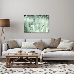 Obraz na szkle - Zielona łąka (70x50 cm)