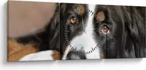 Obraz psa (z zegarem) (90x30 cm)
