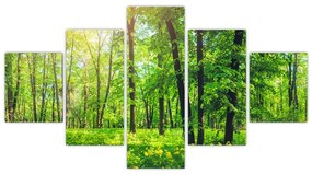 Obraz - Wiosenny las liściasty (125x70 cm)
