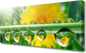 Obraz canvas Poranny Detal Roślinny