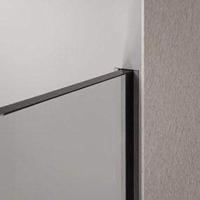 Ścianka prysznicowa Walk-In EX102