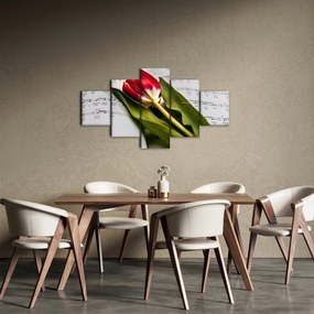 Obraz czerwonego tulipana (125x70 cm)