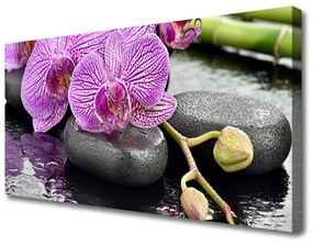 Obraz Canvas Storczyk Zen Orchidea Spa