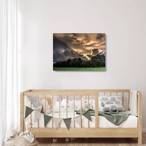 Obraz na szkle - chmury i las (70x50 cm)