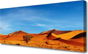 Duży obraz na płótnie Piaszczyste Wzgórza Pustyni