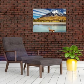 Obraz - Park Narodowy Torres del Paine (70x50 cm)