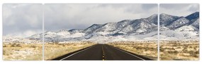 Obraz - Great Basin, Nevada, USA (170x50 cm)