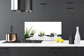 Panel Szklany do Kuchni Kamienie W Soczystej Trawie