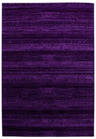 Dywan nowoczesny Plus fioletowy 200 cm x 290 cm