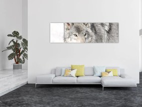 Obraz - Wilk w naturze (170x50 cm)