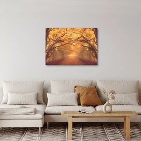Obraz drogi w jesiennym krajobrazie (70x50 cm)