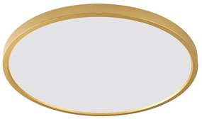 Zuma Line WM-BP1108-S-G - LED lampa sufitowa CAMI LED/36W/230V Ø 40 cm złota