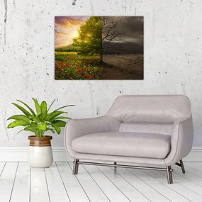 Obraz na szkle - Cykl życia (70x50 cm)