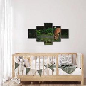 Wizerunek jelonka (125x70 cm)