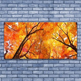 Obraz na płótnie Gęsty Las Liściasty