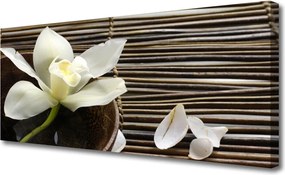 Fotoobraz na płótnie Subtelny Rozkwit Natury