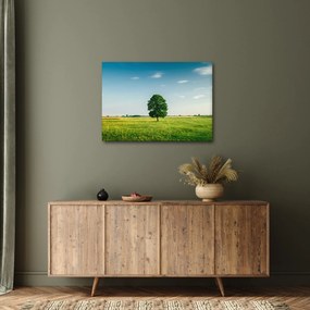 Obraz drzewa na łące (70x50 cm)
