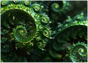 Obraz - Spirale (70x50 cm)