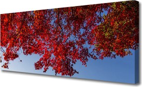 Obraz canvas Rozłożysta Korona Drzewa