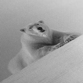 Obraz - Niedźwiedź polarny (170x50 cm)