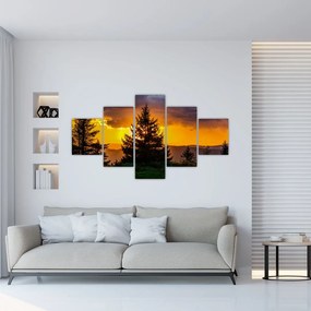 Obraz - drzewa iglaste (125x70 cm)