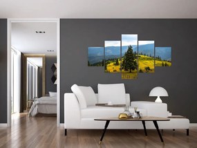Obraz - Górska łąka (125x70 cm)