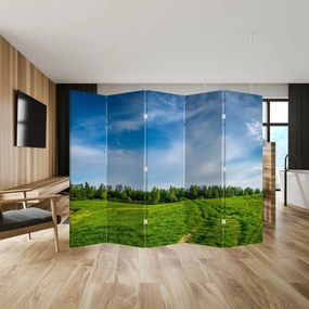Parawan - Łąka (210x170 cm)