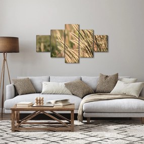 Obraz - Ziarno (125x70 cm)