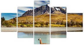 Obraz - Park Narodowy Torres del Paine (125x70 cm)