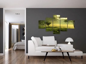 Obraz - Budzący się las (125x70 cm)