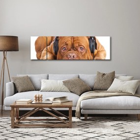 Obraz psa ze słuchawkami (170x50 cm)