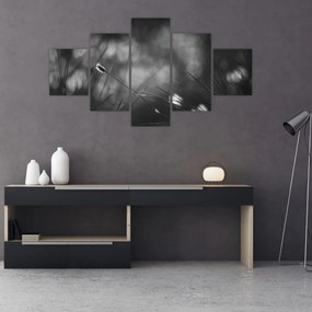 Obraz - Trawa łąkowa (125x70 cm)