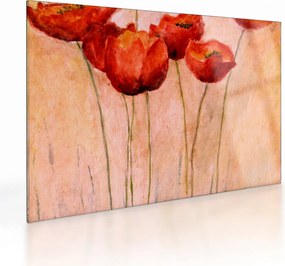 Obraz na szkle - Czerwone tulipany (70x50 cm)