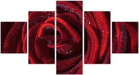 Obraz - Czerwona róża z kroplami rosy (125x70 cm)