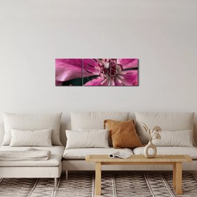 Obraz różowego kwiatu powojnika (z zegarem) (90x30 cm)