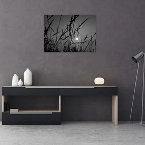 Obraz na szkle - Łąka z zachodem słońca (70x50 cm)