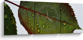 Obraz - Liść róży (z zegarem) (90x30 cm)