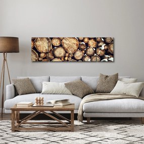 Obraz - Drewno w śniegu (170x50 cm)