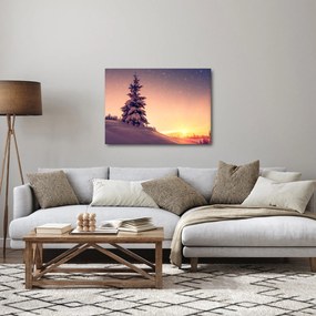 Obraz ośnieżonego drzewa na łące (70x50 cm)