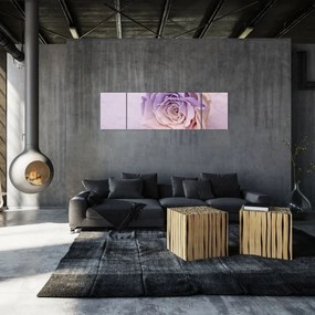 Obraz szczegółu kwiatu róży (170x50 cm)