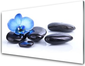 Panel Kuchenny Kwiatowa Harmonia na Kamieniach